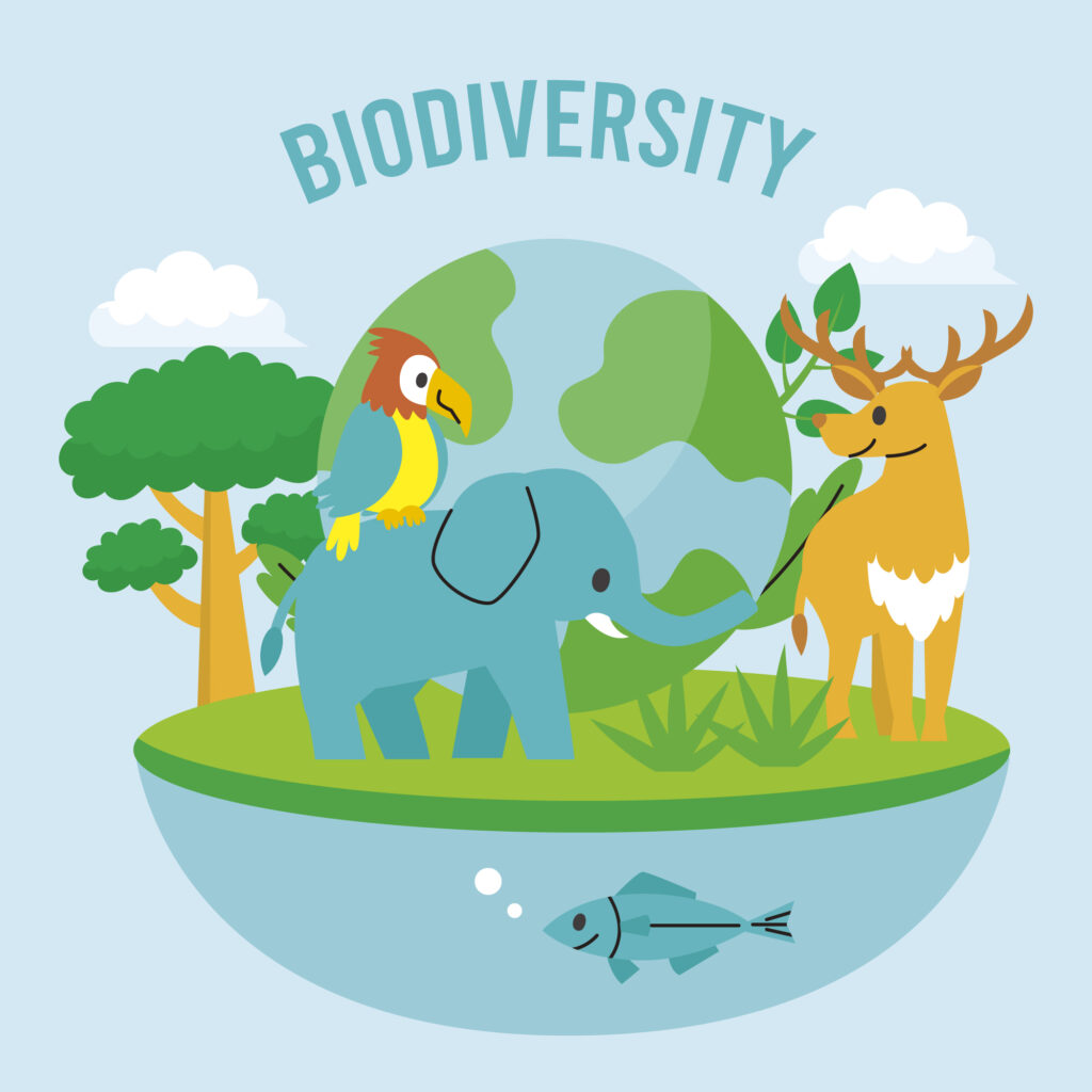 what is the purpose of biodiversity conservation